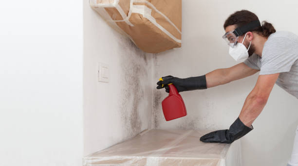 Professional Bathroom Mold Removal technician working in Merion Station, PA